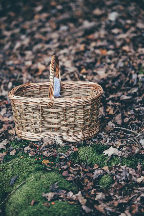 basket on the forest floor in autumn