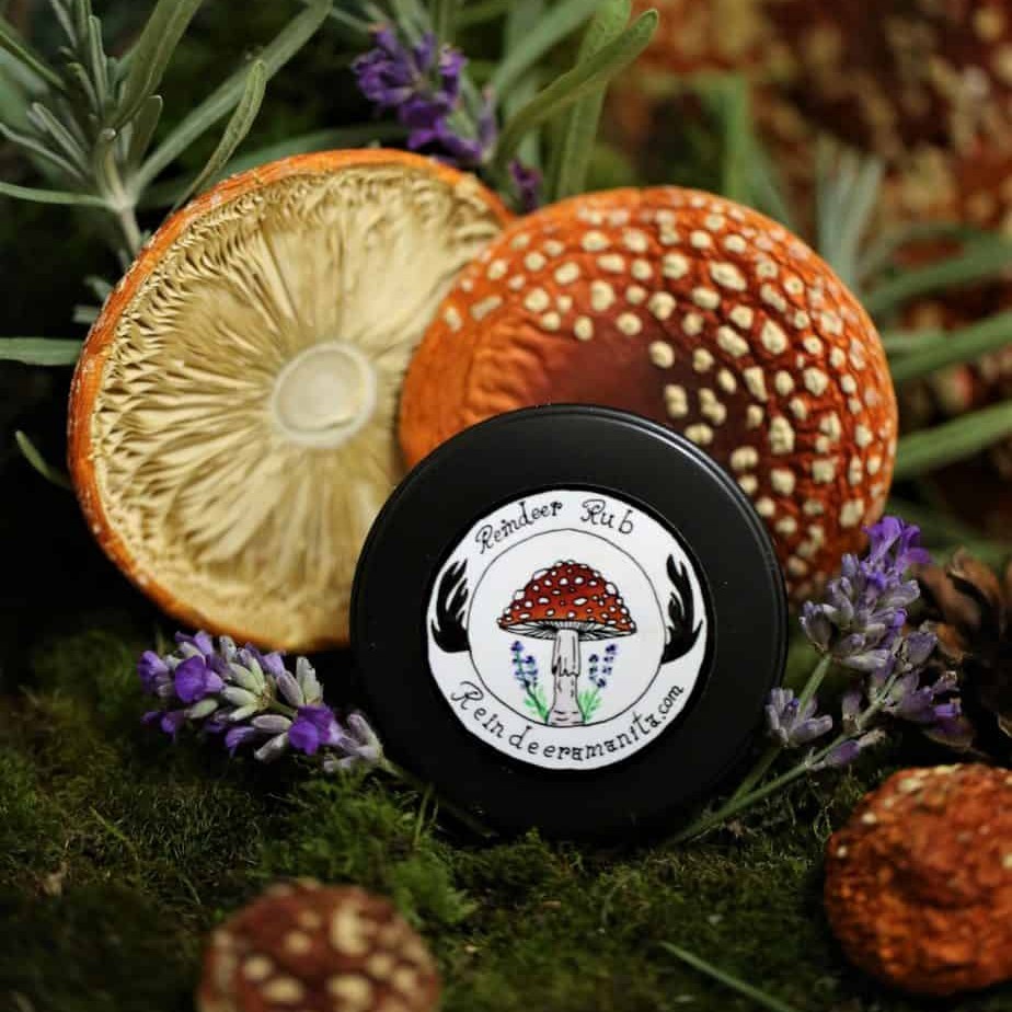 50ml Reindeer Amanita Salve 2 oz
